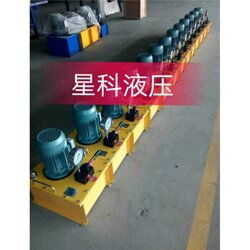 星科液壓機(jī)械質(zhì)優(yōu)價廉 dbs電動泵 廣元電動泵