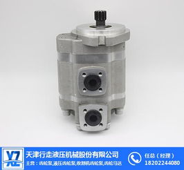 行走液壓齒輪泵 推薦商家 壓路機振動液壓馬達(dá)公司高清圖片 高清大圖