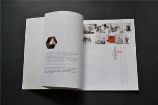 廣告設(shè)計(jì) 超越視覺的藝術(shù)與策略